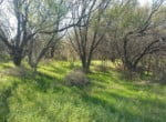 79 acres in Haskell County