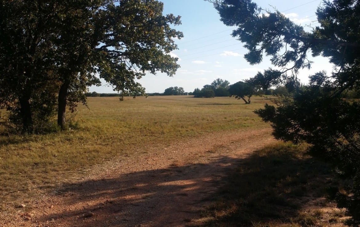 120 acres in Taylor County