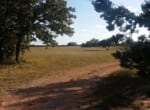 120 acres in Taylor County
