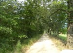 20 acres & Home in Red River County