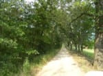 124 acres in Red River County