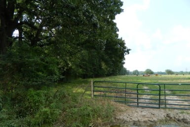20 acres & Home in Red River County