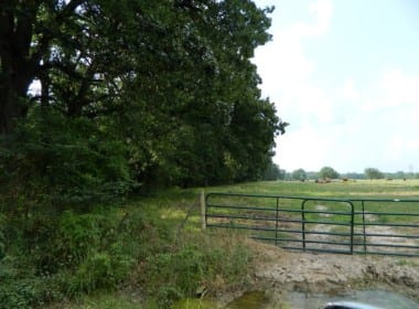 124 acres in Red River County