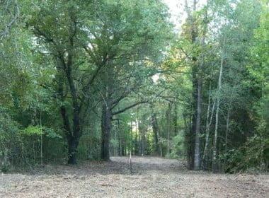 11 acres in Titus County