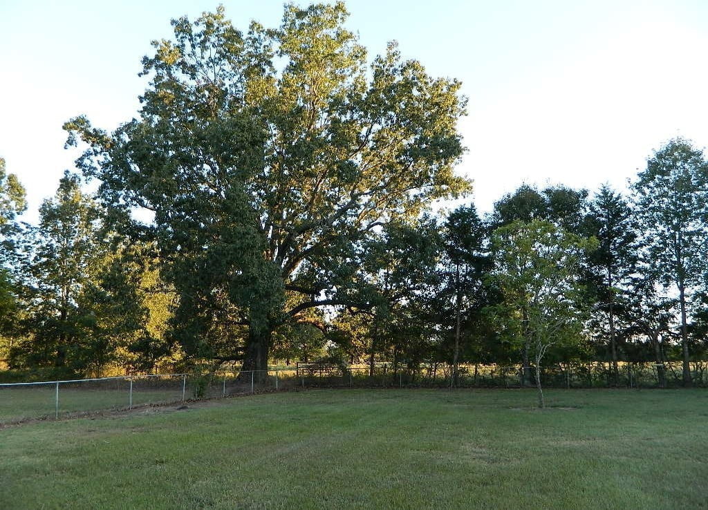 7 acres in Red River County