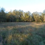 70 acres in Red River County