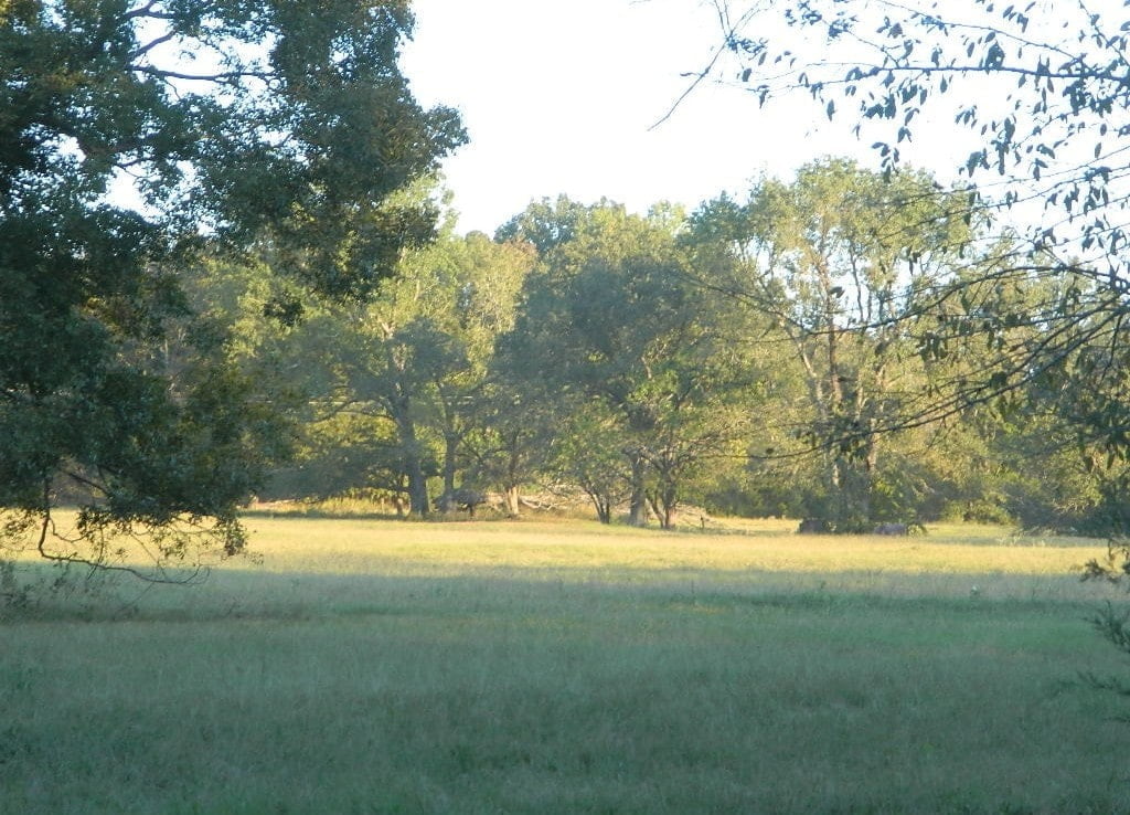 70 acres in Red River County