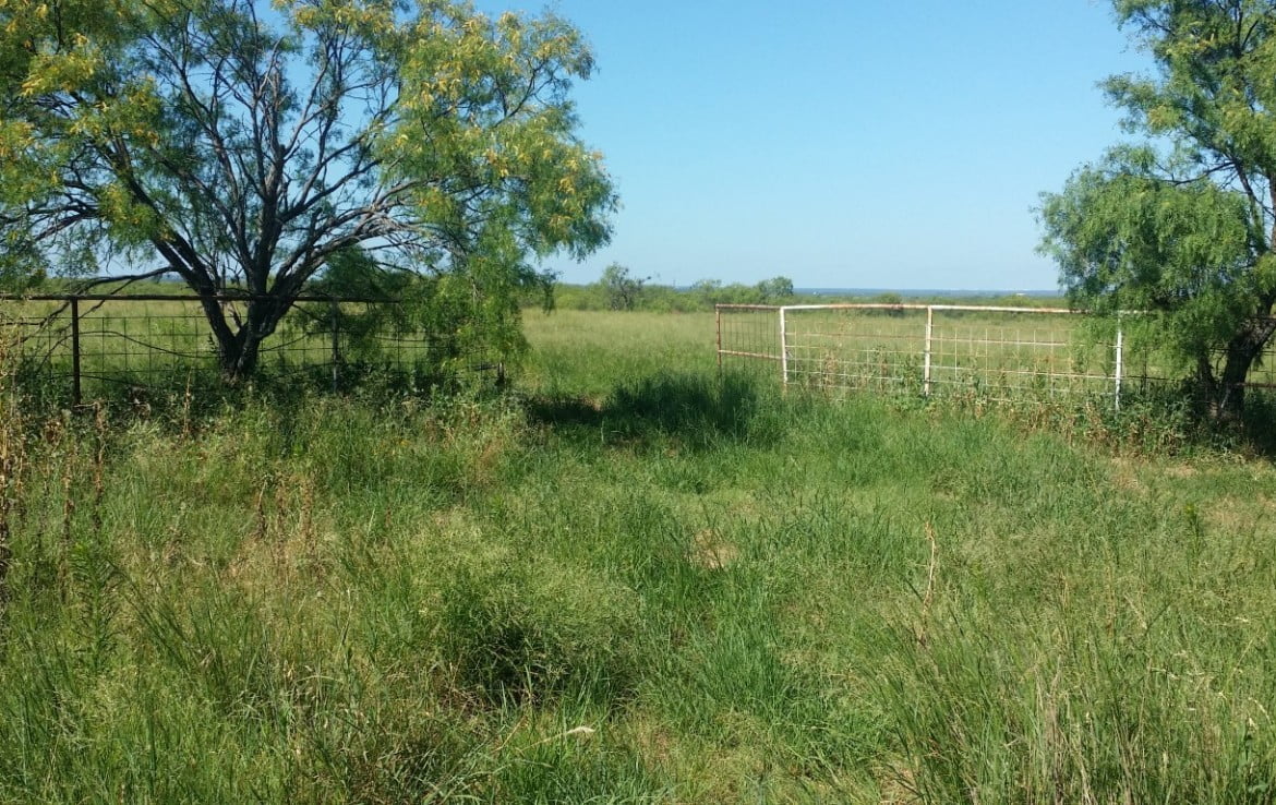 13 acres in Callahan County