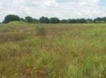 70 acres in Eastland County