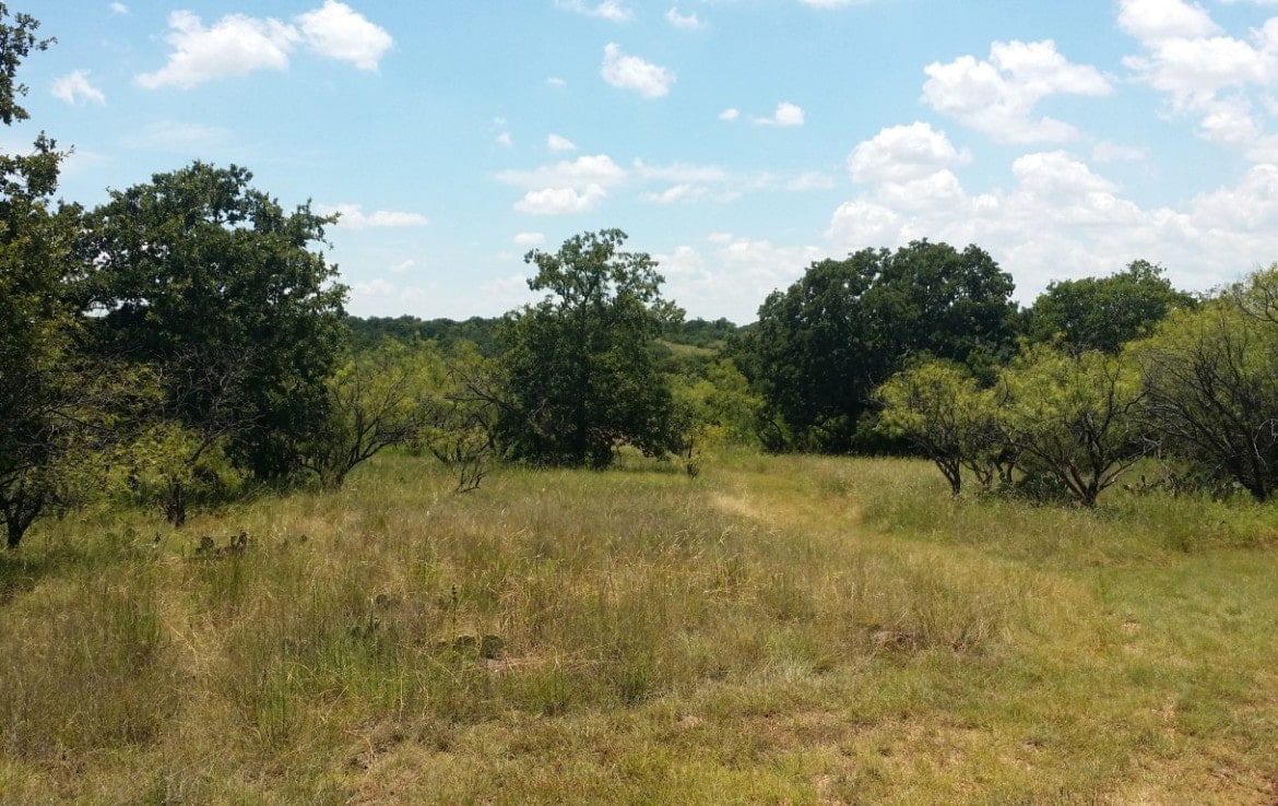 70 acres in Eastland County