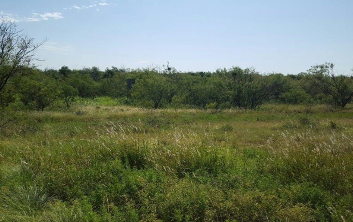 116.7 acres in Baylor County