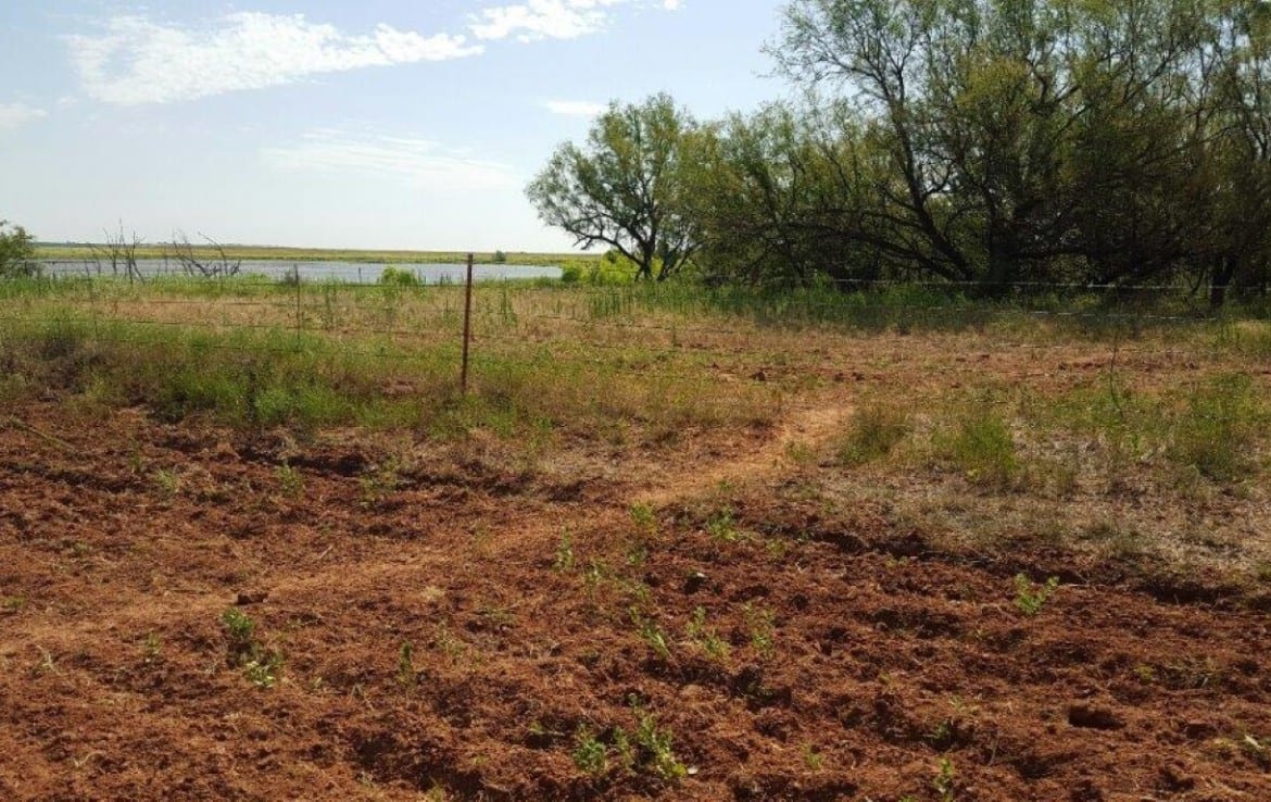 116.7 acres in Baylor County