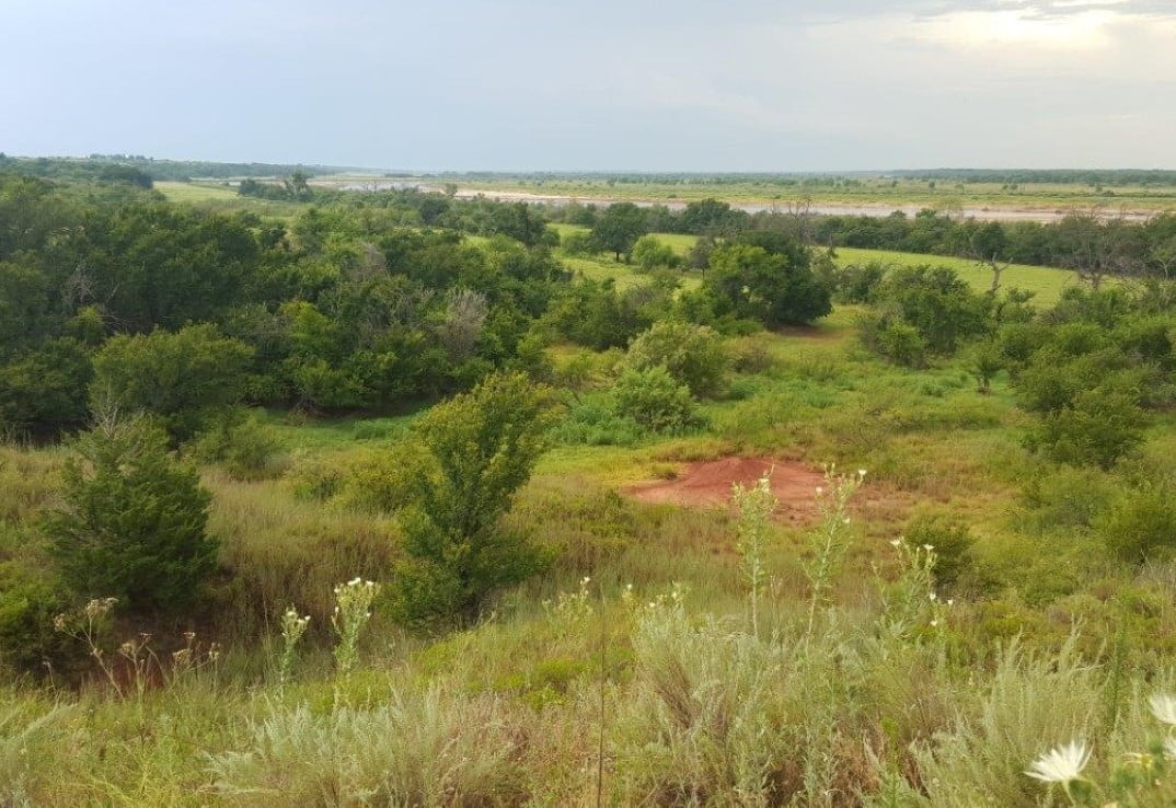 323 acres in Wilbarger County