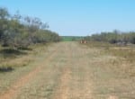 163 acres in Baylor County