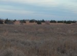 104 acres in Wilbarger County