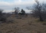 104 acres in Wilbarger County