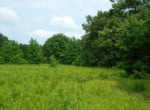 22 acres in Titus County