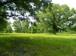 26 acres in Titus County