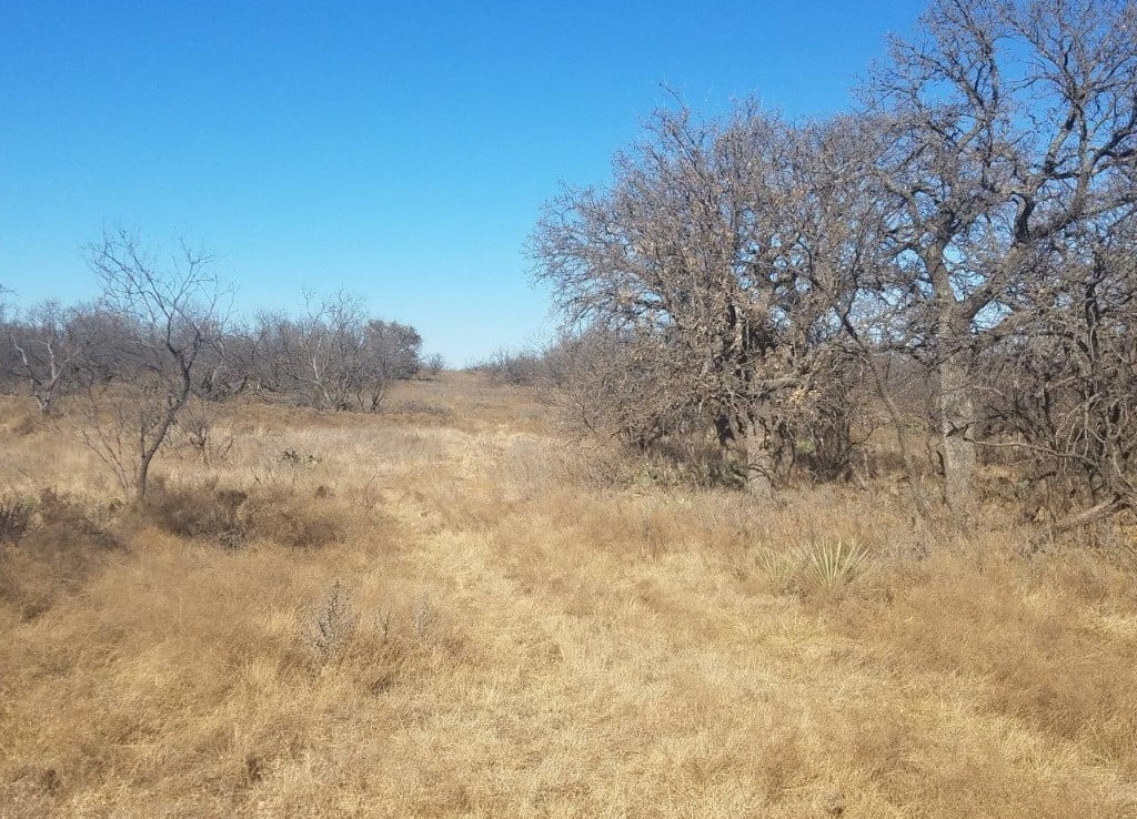 80 acres in Young County