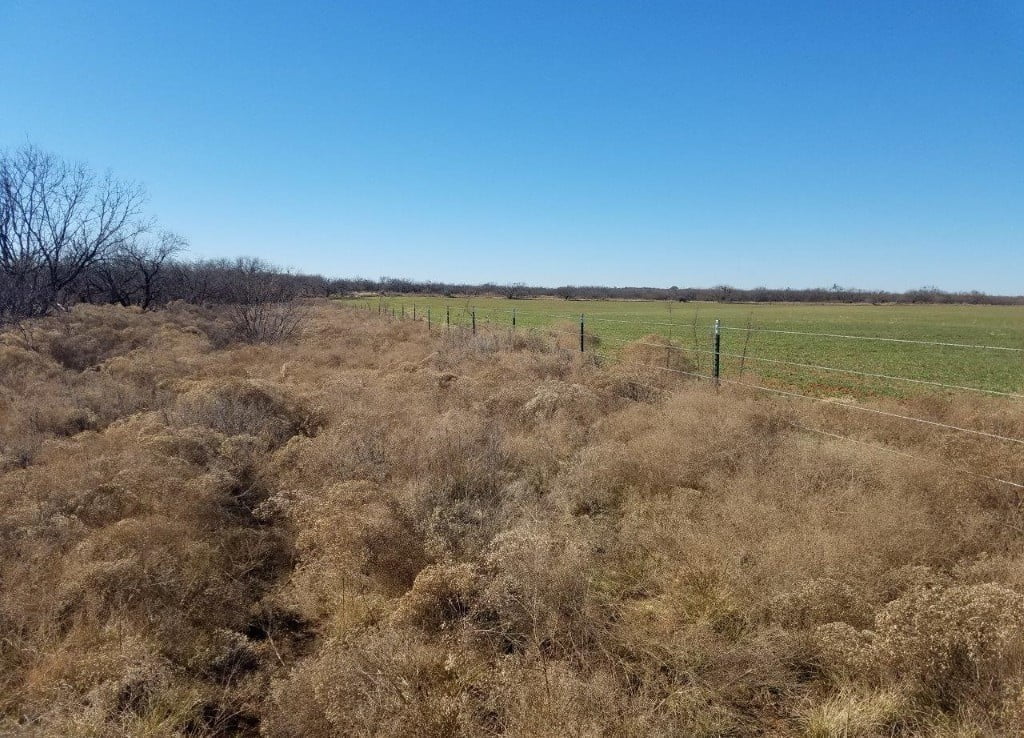 80 acres in Young County