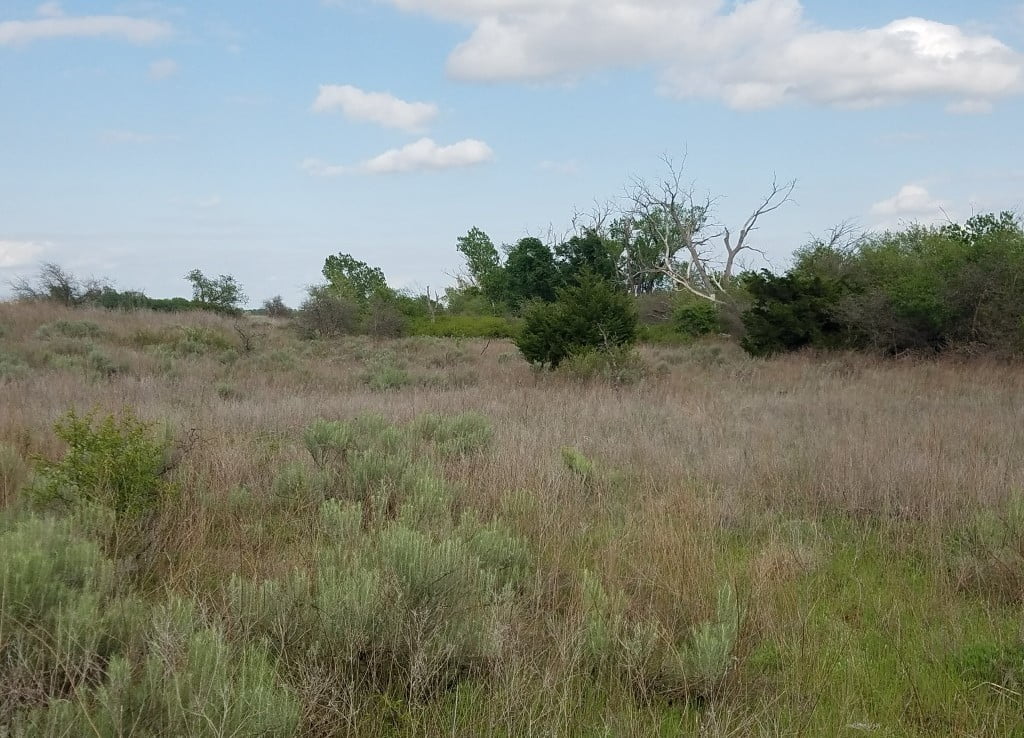 320 acres in Wilbarger County