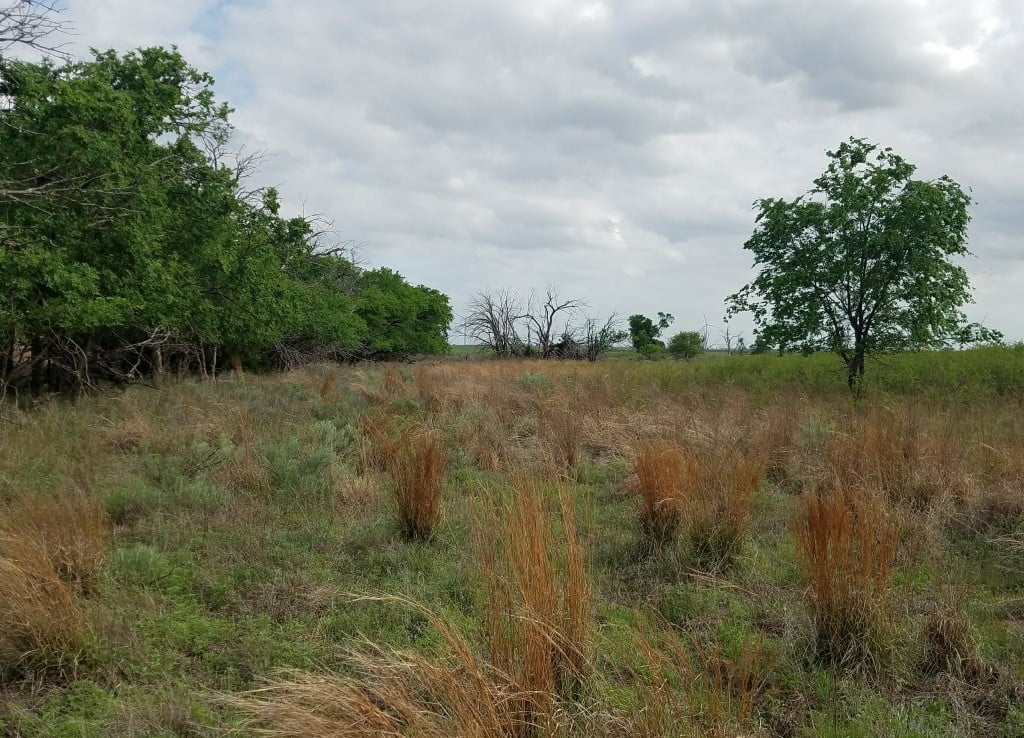 320 acres in Wilbarger County