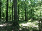 25 acres in Red River County