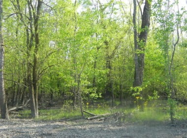 66 acres in Red River County