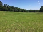 211 acres in Marion County
