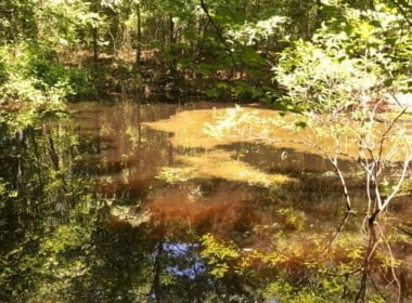 25 acres in Red River County