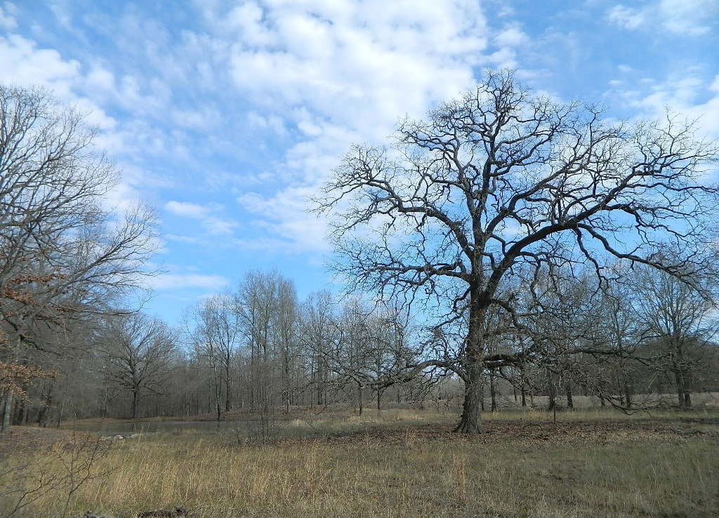 36 acres in Red River County