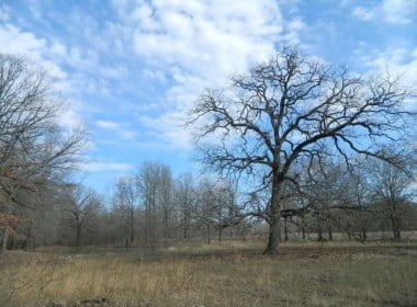 36 acres in Red River County