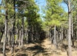 111 acres in Red River County