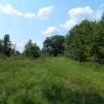 134 acres in Titus County
