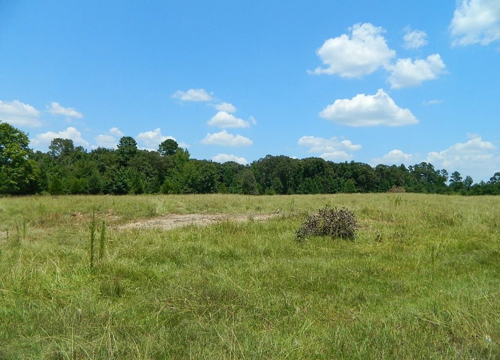 165 acres in Red River County