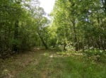 46 acres in Red River County