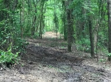 65 acres in Red River County