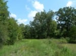 134 acres in Titus County