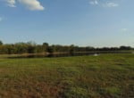 128 acres in Taylor County