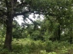 244 acres in Red River County