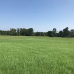 16 acres in Cass County