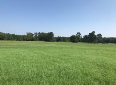 16 acres in Cass County