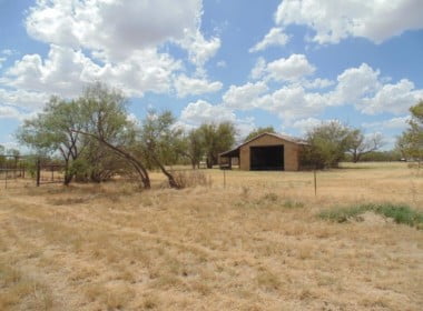 135 acres in Taylor County