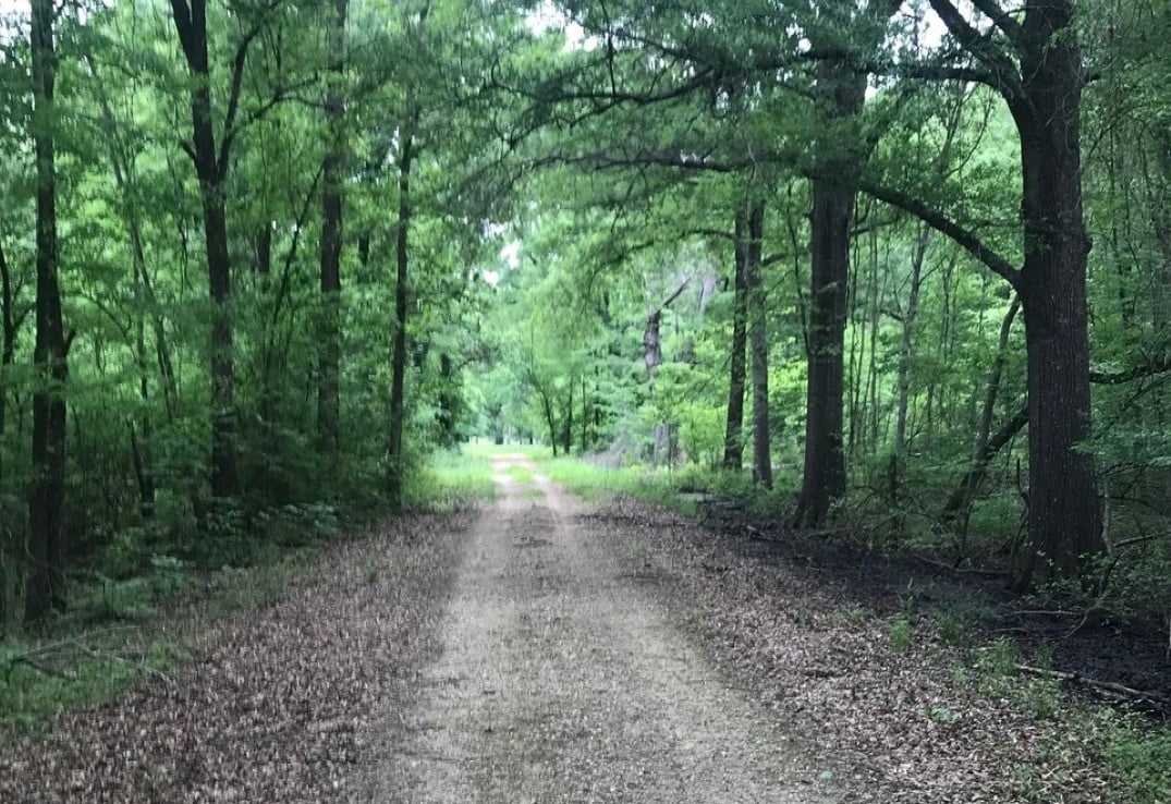 244 acres in Red River County