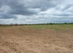 27 acres in Taylor County