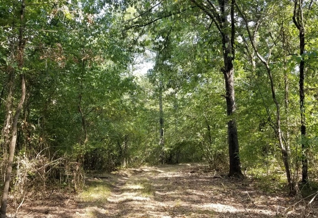 44 acres in Red River County