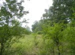 83 acres in Red River County