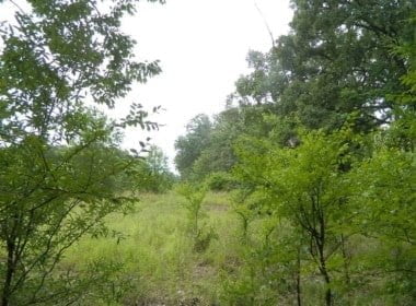83 acres in Red River County