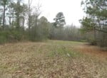 125 acres in Titus County