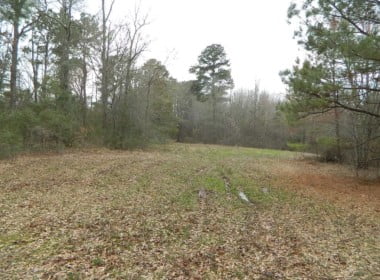 125 acres in Titus County